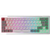 RAIJINTEK 0R40B00276, Teclado para gaming plateado