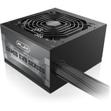 RAIJINTEK ERMIS EVO 850B, Fuente de alimentación de PC negro