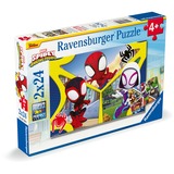 Ravensburger 05729, Puzzle 