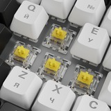 Sharkoon SKILLER SGK50 S3, Teclado para gaming blanco