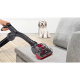 Bosch BGC41PET, Aspiradora de suelo rojo/Negro