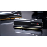 G.Skill F5-6000J3244G64GX2-TZ5NR, Memoria RAM negro