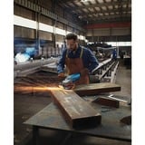 Bosch GWS 20-230 P Professional, Amoladora angular azul