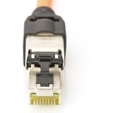 Digitus Conector RJ45 apantallado para ensamblaje sobre el terreno, Enchufe plateado/Negro, RJ-45, Acero inoxidable, Cat6, 1 A, 78 g, 12,5 mm