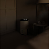 Meaco Dry Arete Two 20L Deshumidificador de compresor y purificador de aire blanco/Negro