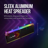 PNY DIMM 32 GB DDR5-6000 (2x 16 GB) Kit dual, Memoria RAM negro