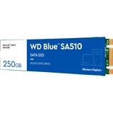 WD Blue SA510 M.2 250 GB Serial ATA III, Unidad de estado sólido azul/blanco, 250 GB, M.2, 555 MB/s, 6 Gbit/s