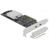 DeLOCK 89009 tarjeta y adaptador de interfaz Interno USB 3.2 Gen 2 (3.1 Gen 2) PCIe, USB 3.2 Gen 2 (3.1 Gen 2), Perfil bajo, PCIe 2.0, SATA de 15 pines, 20 Gbit/s