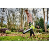 Ryobi RY36BLA-0, Soplador de hojas verde/Negro