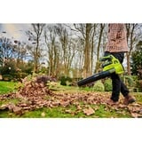 Ryobi RY36BLA-0, Soplador de hojas verde/Negro
