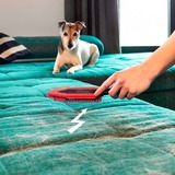 Vileda Cepillo electrostático Pet Pro rojo/Negro