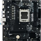 Biostar A620MS, Placa base negro