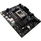 Biostar A620MS, Placa base negro