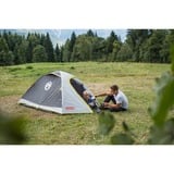 Coleman Tienda de campaña tipo cúpula para 3 personas Darwin 3 gris/Verde claro
