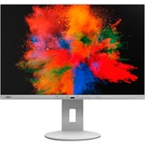 Fujitsu Displays B2410 WE 61,2 cm (24.1") 1920 x 1200 Pixeles WUXGA LED Gris, Monitor LED blanco, 61,2 cm (24.1"), 1920 x 1200 Pixeles, WUXGA, LED, 5 ms, Gris