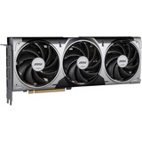 MSI V531-095R, Tarjeta gráfica 