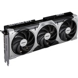 MSI V531-095R, Tarjeta gráfica 