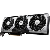 MSI V531-095R, Tarjeta gráfica 