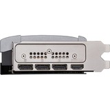 MSI V531-095R, Tarjeta gráfica 