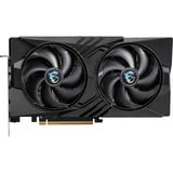 MSI V537-005R, Tarjeta gráfica 