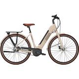 Raleigh LIVERPOOL PREMIUM, E-Bike marrón