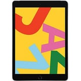 Apple iPad 10,2, Tablet PC gris