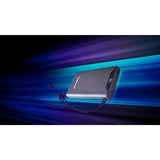 Intenso Powerbank F10000 Gris, Banco de potencia gris