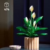 LEGO 11504, Juegos de construcción 