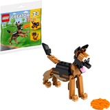 LEGO 30578, Juegos de construcción