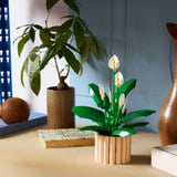 LEGO Botánicos Lirio de la Paz, Juegos de construcción 