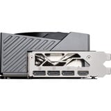 MSI V530-013R, Tarjeta gráfica 