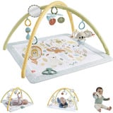 Mattel HRB15 gimnasio para bebé y tapete de juego Plástico Multicolor Gimnasio para bebés, Gimnasio de actividades/Alfombra Gimnasio para bebés, Barra de juguetes, Plástico, Multicolor