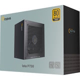 Ocypus Iota P750 Black, Fuente de alimentación de PC negro
