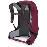 Osprey 10006484, Mochila Rojo tinto/Negro