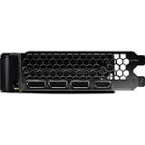 Palit GeForce RTX 5050 Dual 8GB, Tarjeta gráfica 