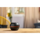 Shelly H&T, Termodetector negro