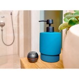 Shelly H&T, Termodetector negro