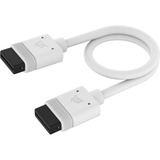 Corsair iCUE LINK Cable, 200mm, recto blanco