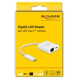 DeLOCK 65402 adaptador y tarjeta de red Ethernet 5000 Mbit/s blanco, Alámbrico, USB Tipo C, Ethernet, 5000 Mbit/s, Blanco