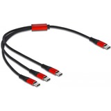 DeLOCK 86712 cable USB 0,3 m USB 2.0 USB C 3x USB C Negro, Rojo negro/Rojo, 0,3 m, USB C, 3x USB C, USB 2.0, Negro, Rojo