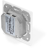 Digitus Toma de datos CAT.6A, empotrada, apantallada, 2x RJ-45 LSA, Caja de conexiones blanco