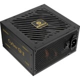 Enermax ERV1000G-AHG-MAC, Fuente de alimentación de PC 