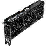 Gainward NE7506TS19T1-GB2061T, Tarjeta gráfica 