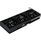 Gainward NE7506TS19T1-GB2061T, Tarjeta gráfica 