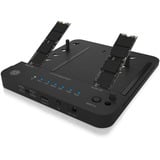 ICY BOX IB-2915MSCL-C31 USB 3.2 Gen 2 (3.1 Gen 2) Type-C Negro, Estación de acoplamiento Unidad de disco duro, SSD, SATA, Serial ATA II, Serial ATA III, 2.5,3.5,M.2, USB 3.2 Gen 2 (3.1 Gen 2) Type-C, Negro, Plástico