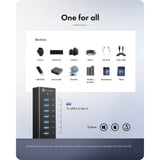 ICY BOX IB-AC618a, Hub USB negro
