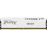 Kingston FURY KF556C36BWE-32, Memoria RAM blanco