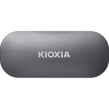 Kioxia LXD10S001TG8, Unidad de estado sólido gris
