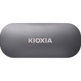 Kioxia LXD10S001TG8, Unidad de estado sólido gris