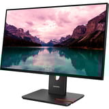 Lenovo T24-40(C25238FT0), Monitor LED negro